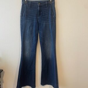 Express Blue Flare Wide Leg Jeans
